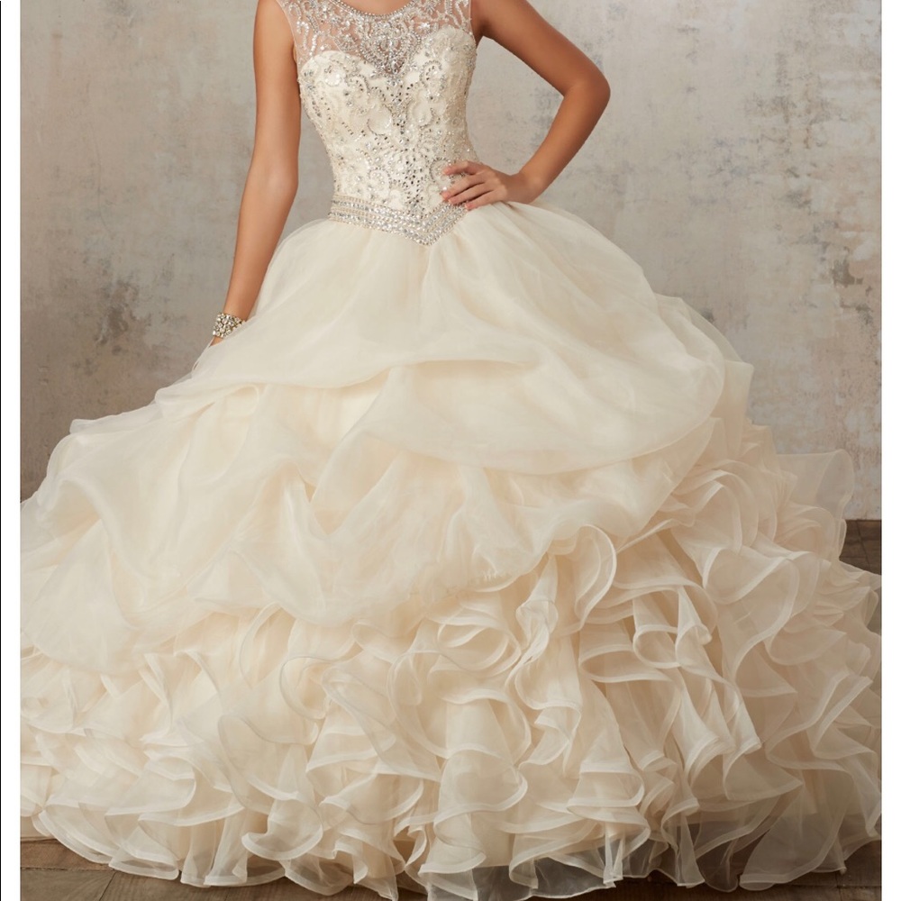 Morilee Vizcaya Ballgown